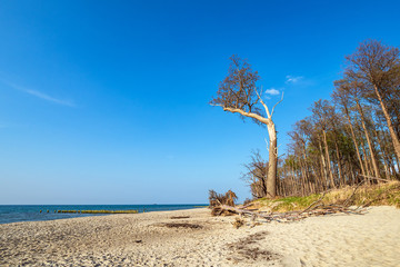 Strand an der Küste der Ostsee bei Graal Müritz