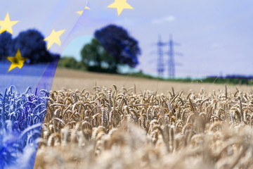 Flagge der Europäischen Union EU und die Landwirtschaft in Europa - obrazy, fototapety, plakaty
