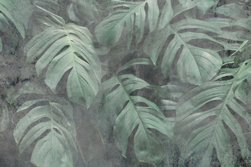 Grunge monstera leaf background illustration