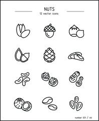 Vector images of different types of nuts
