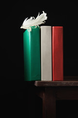 Italian flag and feather. White feather on books standing on the edge of the table. Conceptual...