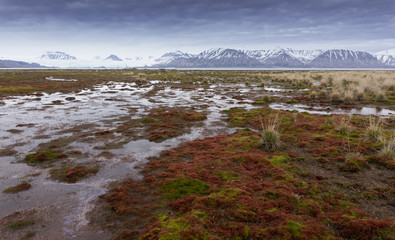 Arctic summer landscape at Russian ghost town on Spitsbergen.