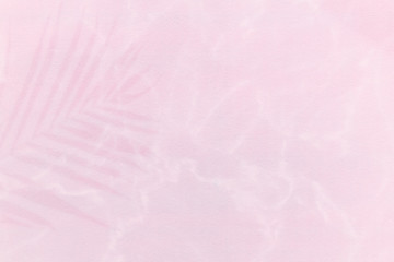 Palm leaf shadow on a light pink background