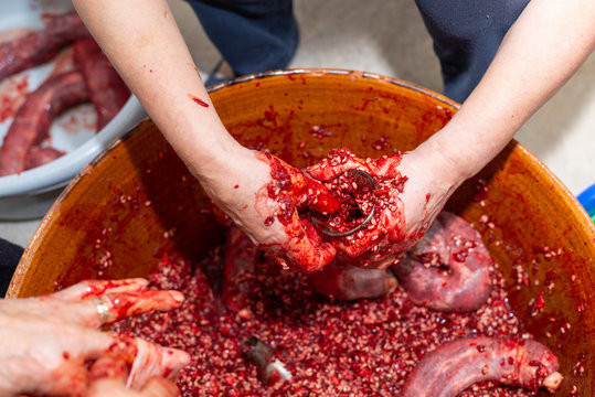 Manos de mujer rellenando tripas de ternera durante la elaboraci&oacute;n casera de morcillas de arroz de Burgos seg&uacute;n el m&eacute;todo tradicional. Tomada el 20 de febrero de 2020 en Burgos, Castilla y Le&oacute;n.