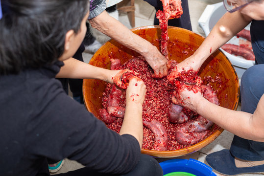 Manos de mujer rellenando tripas de ternera durante la elaboraci&oacute;n casera de morcillas de arroz de Burgos seg&uacute;n el m&eacute;todo tradicional. Tomada el 20 de febrero de 2020 en Burgos, Castilla y Le&oacute;n.