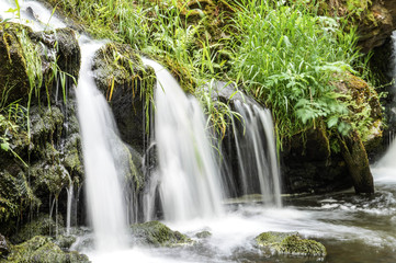 waterfall in nature
