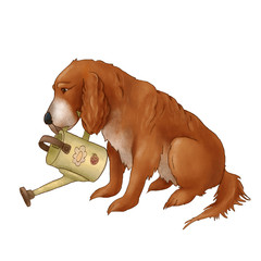 Spaniel dog is watering from a watering can. Shaggy puppy. The illustration is isolated on a white background. - 351510029