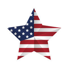 united states of america flag in star frame