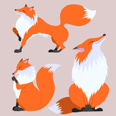 Set of raster illustrations of the fox in different poses.