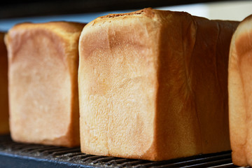 焼き立ての美味しい食パン