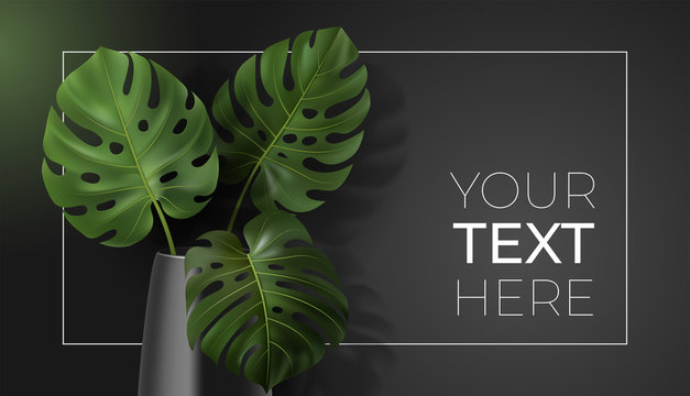 Vector poster with green tropical leaves monstera in vase on dark background. Botanical illustration with copy space for your text in frame for interior, home decor, poster, banner, card, ad, design