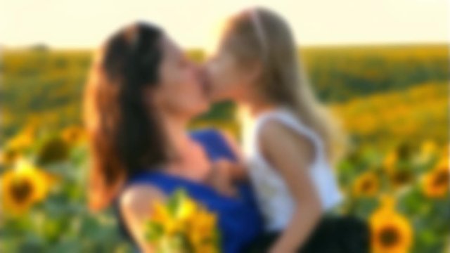Mother and child kissing on sunflower field. Blurred motion video. Happy family relaxing. Summer view. Beautiful sunset, slow motion, warm video.
