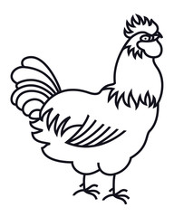 Fototapeta na wymiar Rooster Farm animals Poultry farming Line art design