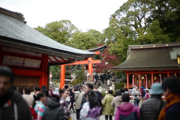 ความสวยงามในประเทศญี่ปุ่น