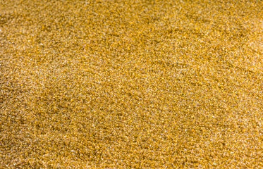 golden grains glittering background gold glitter glittering sand textured background