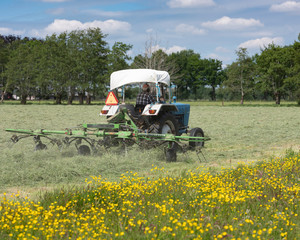 Fototapeta premium old tractor and hay tedder in meadow near field full of buttercups