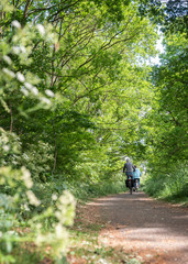 Obraz premium women on bicycle on narrow bike path through spring trees in the centre of holland