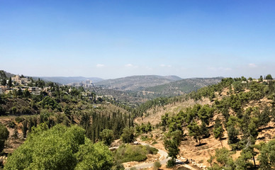 Naklejka premium Vieww of the mountains