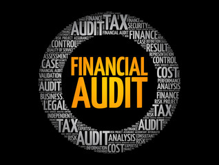 Financial Audit circle word cloud collage, business concept background