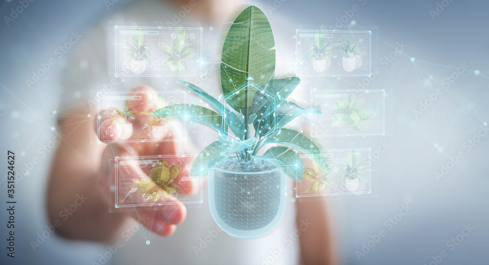 Leinwandbilder man holding and touching holographic projection of a plant with digital analysis 3d rendering