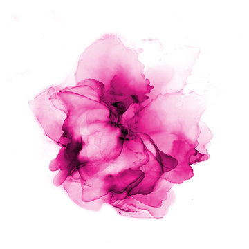 Delicate hand drawn watercolor flower in pink tones. Alcohol ink art. Raster illustration.