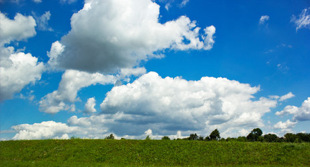 Obraz premium Beautiful summer landscape. Clouds, green grass and forest.
