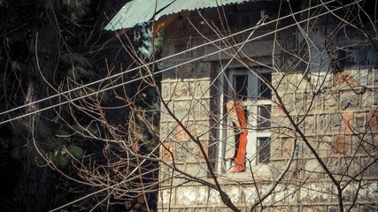 Branches with brick wall behind with window