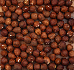 Organic unpeeled hazelnuts. For texture or background.