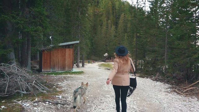 Girl with long blond hair black hat walks with dog wolf on stone road of Italian alpine green coniferous forest. Woman turned away, walks past wooden building, enjoy beautiful nature pine trees relax