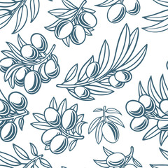 Olive. Olive hand drawn seamless pattern. Part of set.