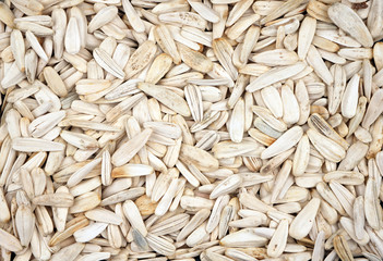 Organic yellow sunflower seeds. For texture or background.