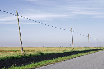 empty country road with telephone poles