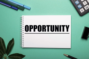 On a blue background is a marker, calculator, a sheet of paper with the word opportunity written, pen, plant. View from above.
