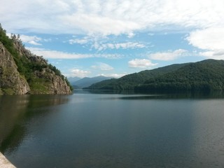 Naklejka na ściany i meble lake mirroring rocky mountains with forest fir trees on summer season