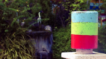 Colorful head with blue green and red color