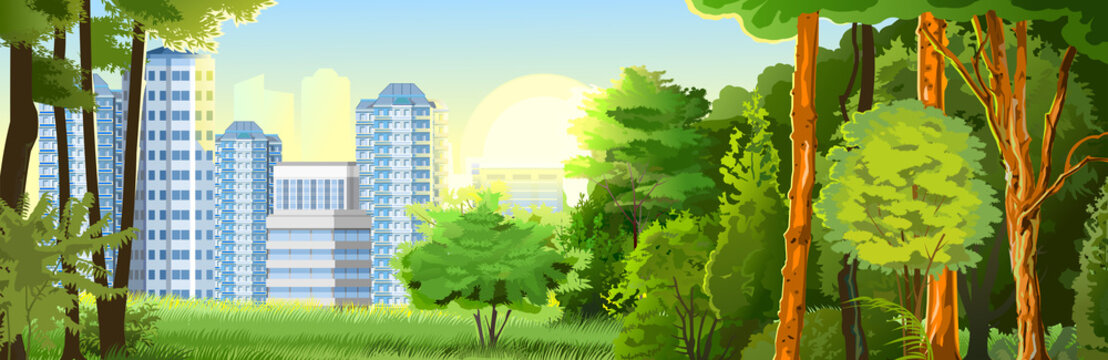 Suburban horizontal landscape. Vector. Forest in the vicinity of the city. Skyline, sun. Scenery with dawn, sunset. Background image. Park, trees.