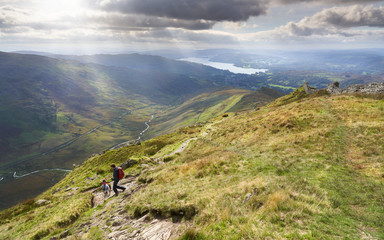 Fototapeta na wymiar A hiker and their dog descending the summit of High Pike, Scandale beck below, Red Screes to the left and Lake Windermere in the distance on a sunny day in the Lake District.