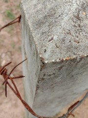 Concrete poles and barbed wire have old rust in the garden