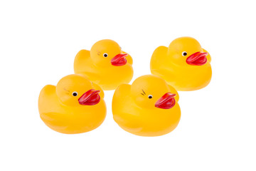  rubber toy isolated on white