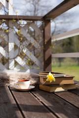 Old-fashioned book with daffodils  and teacup on the wooden terrace. Sunny springtime day. Vertical.