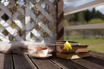 Old-fashioned book with daffodils  and teacup on the wooden terrace. Sunny springtime day.Horizontal