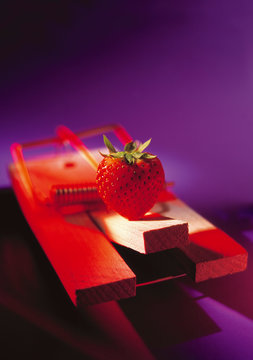 tapette &agrave; souris avec une fraise comme app&acirc;t