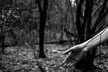 hand of a young woman is touching a tree branch
