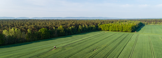 Hochsitz zum Jagen vor einem Wald