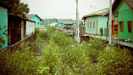 Rows of green trees with rows of houses