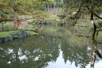 river and edges in the oriental park of maulévrier (france)