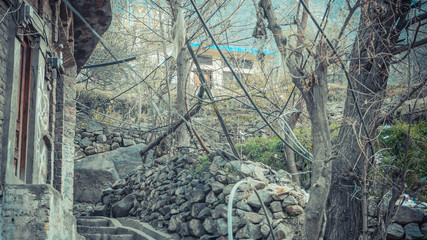 Stone walls with trees and brick wall at the side