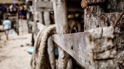 Thailand - Koh Samui - City - Beaches - Island - Nature 192