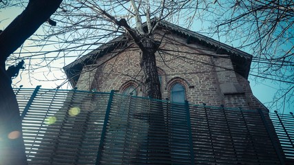 Tress with brown brick wall and fence