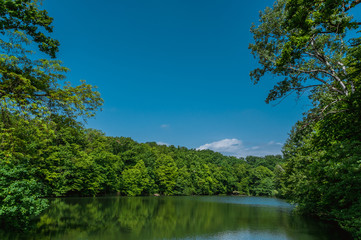 Lake with trees and blue sky, Maksimir Zagreb